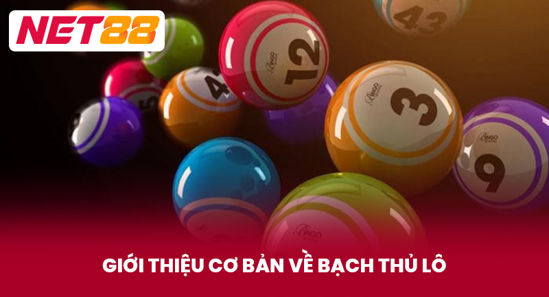 Giới thiệu cơ bản về Bạch Thủ Lô