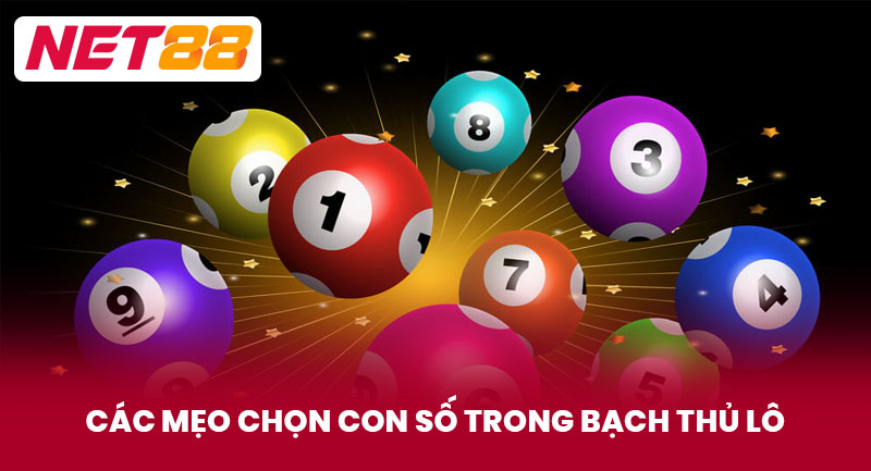Các Mẹo Chọn Con Số Trong Bạch Thủ Lô