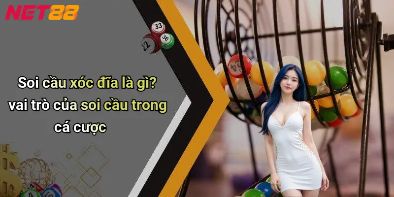 Soi cầu xóc đĩa là gì? vai trò của soi cầu trong cá cượcSoi cầu xóc đĩa là gì? vai trò của soi cầu trong cá cược