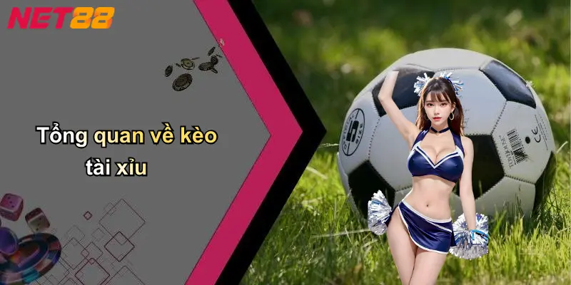 Tổng quan về kèo tài xỉu